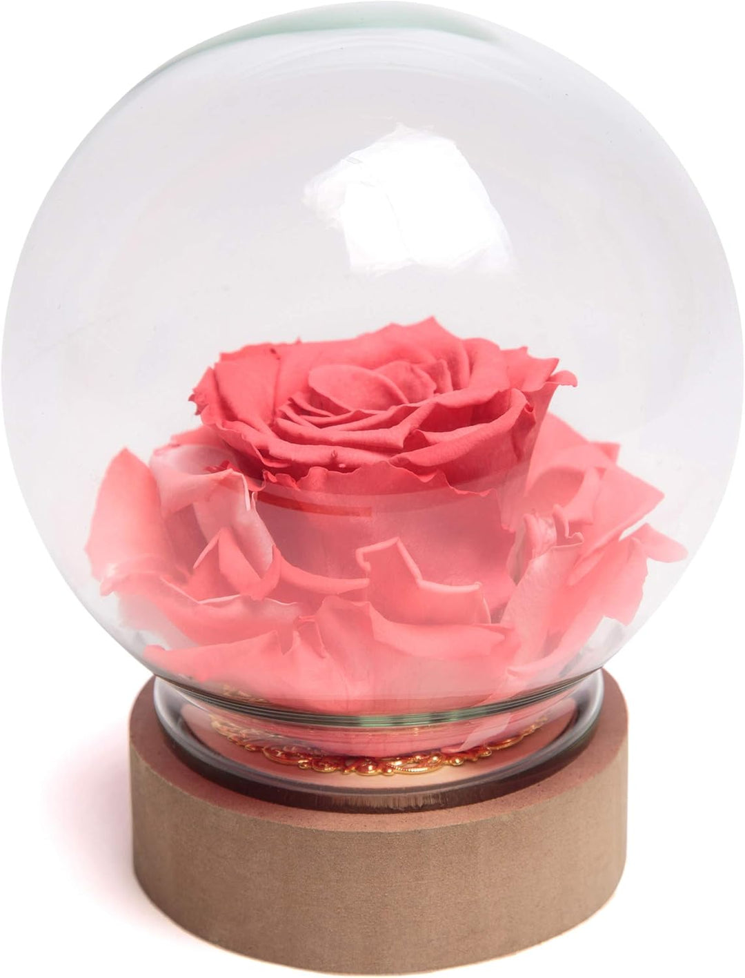 ROSEMARIE SCHULZ Heidelberg Infinity Rose im Glas die Schöne und das Biest echte lanlebige Rose mit