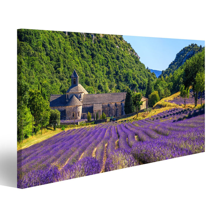 islandburner Bild auf Leinwand Blühendes Lila Lavendelfeld In Der Senanque Abtei Gordes Provence Fra