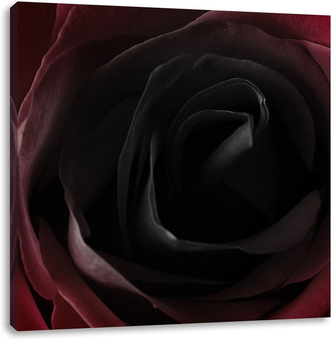 Rote Rose Schwarz/Weiss, Format: 70x70 auf Leinwand, XXL riesige Bilder fertig gerahmt mit Keilrahme