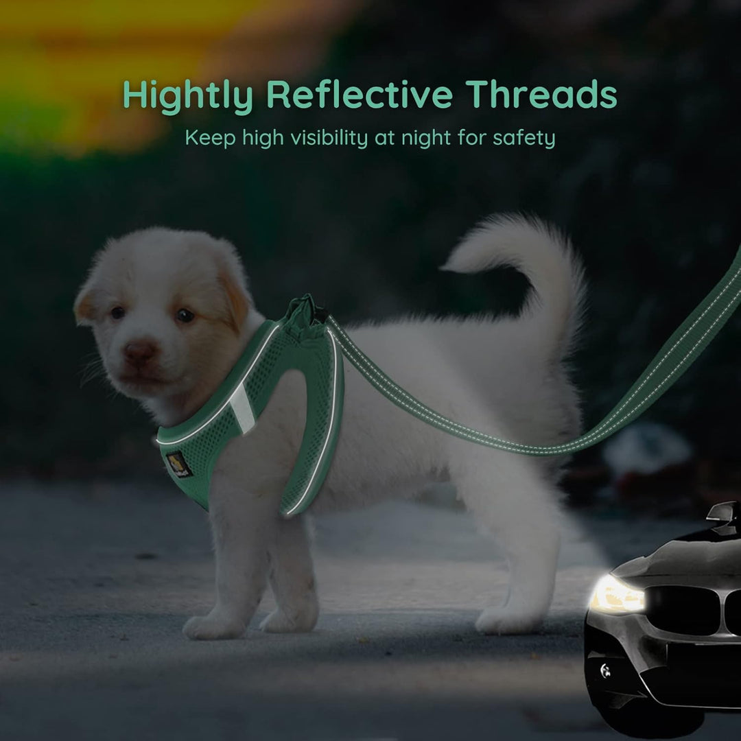 BELLA & PAL Hundegeschirr Kleine Hunde mit Leine, Step-in Geschirr aus Air Mesh, Anti Zug Reflektier