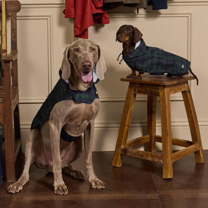 Rosewood x Joules Blackwatch Check Packaway Hundejacke, Grösse M, leicht, wasserabweisend, mit Kapuz