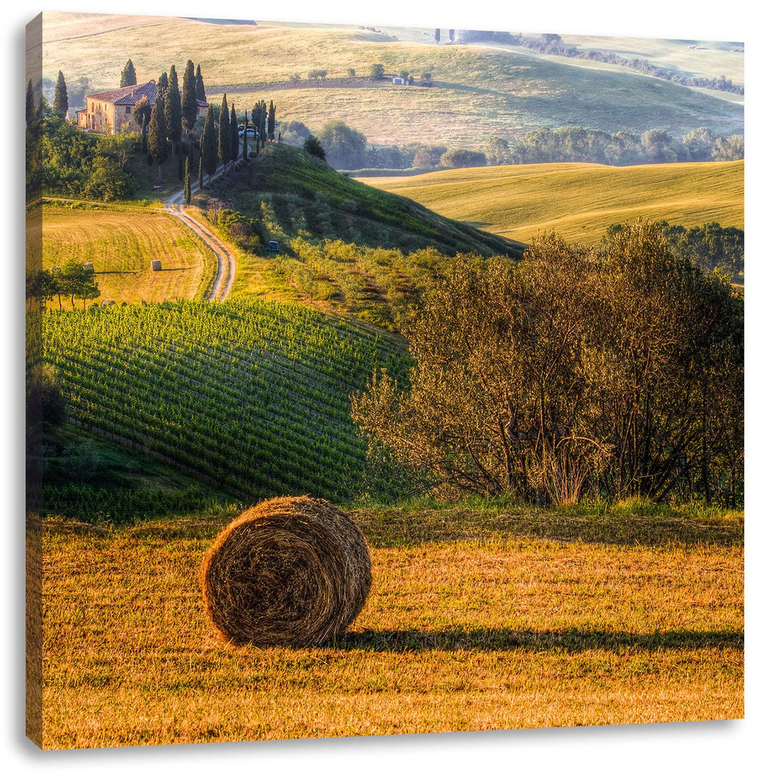 Pixxprint Italienische Toskana Landschaft als Leinwandbild/Grösse: 70x70 cm/Wandbild/Kunstdruck/fert