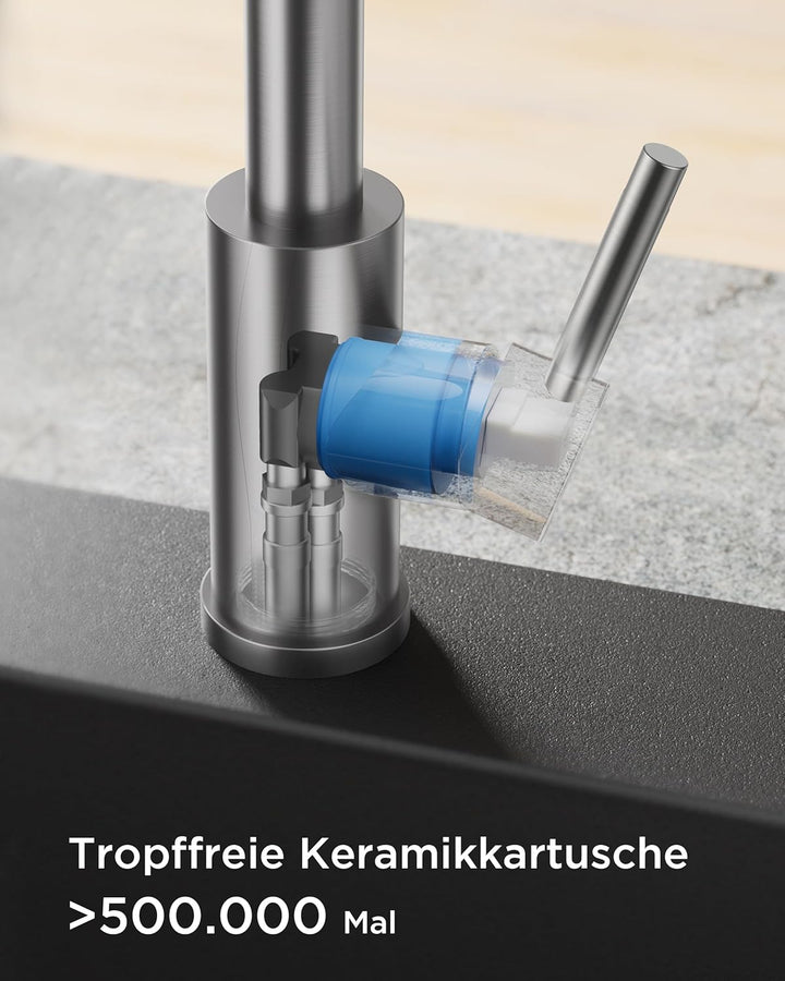FORIOUS Wasserhahn Küche, Küchenarmatur Ausziehbar, Spültischarmatur Küche mit 5 Sprühmodi, Edelstah