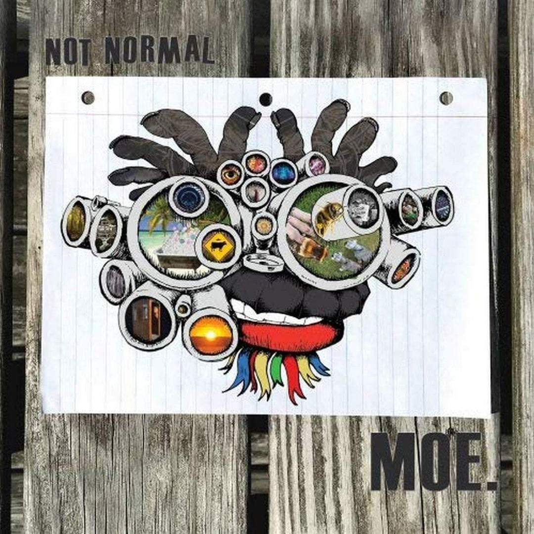 Not Normal, Vinyl