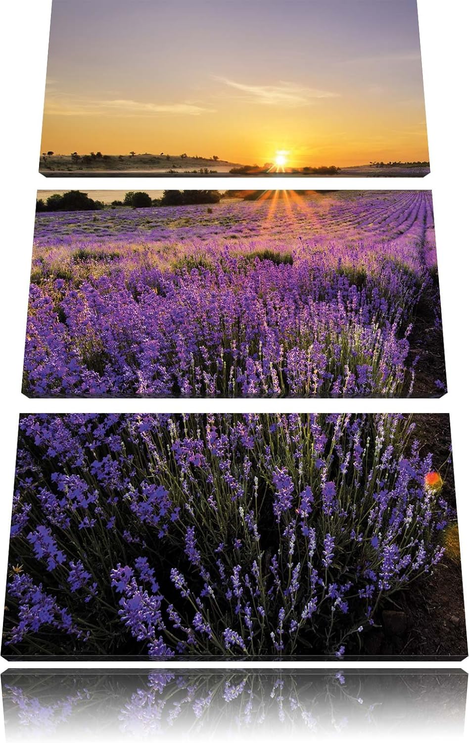 Pixxprint Lavendelfeld in Frankreich als Leinwandbild/Grösse: 3 Teilig (120x80) / Wandbild/Kunstdruc