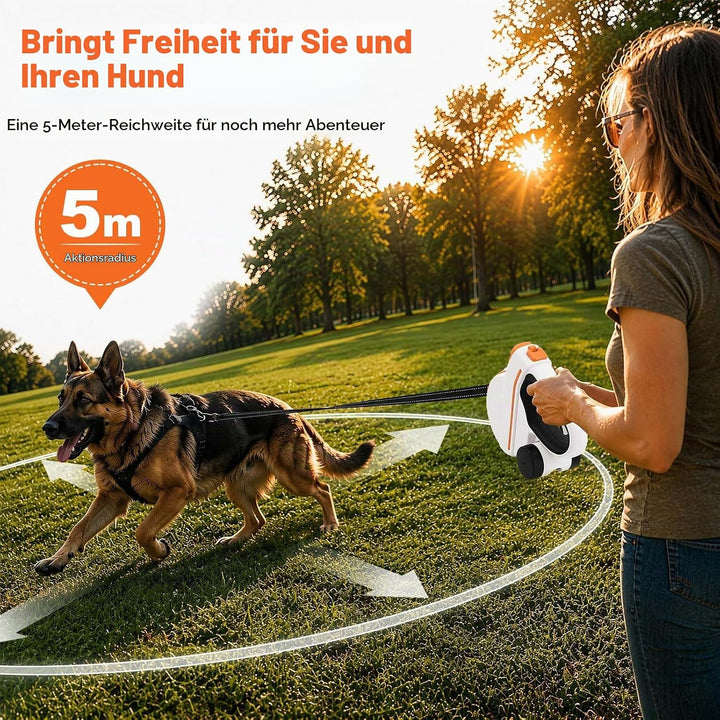 Ausziehbare Hundeleine, Flexi Leine 5m, Rollleine für Hunde, Hundeleine Flexi, Dog Leash, Rollleine