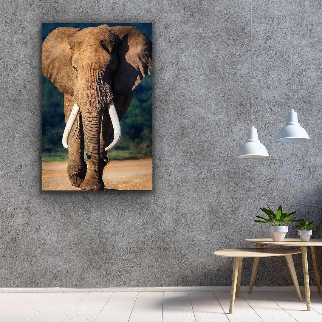 Startonight Glasbild Elefant, Bild auf Acrylglas Muster Modern Dekoration Fertig zum Aufhängen 60 x