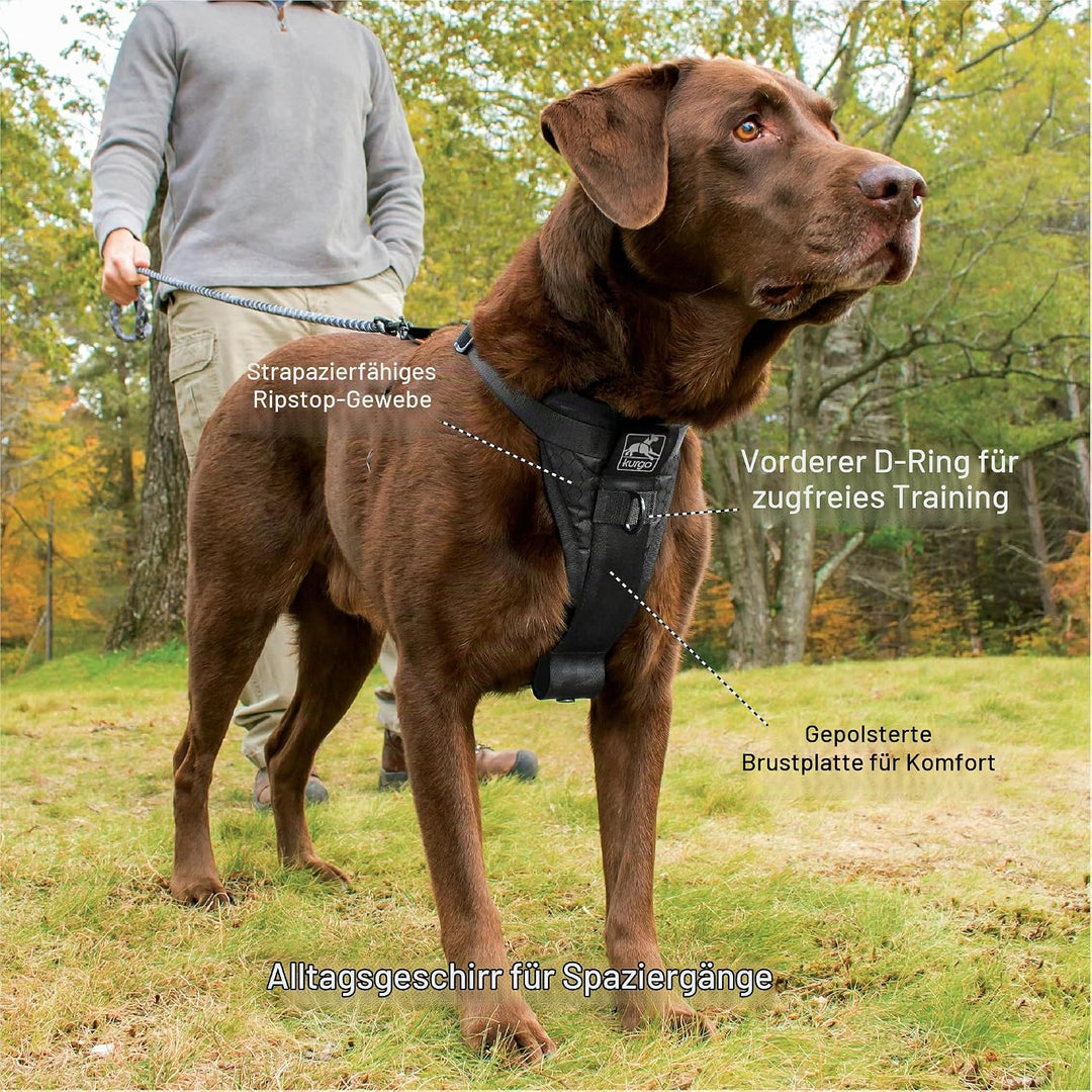 Kurgo Tru-Fit Smart Hundegeschirr, Mit gepolstertem Brustteil und D-Ring, Inklusive Autosicherheitsg