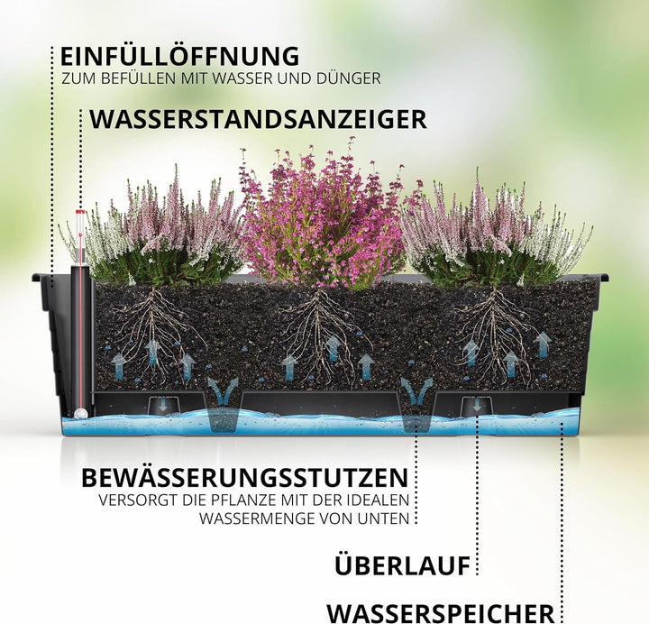 Blumenkasten Milano 3er Set 60 cm lang Farbe Anthrazit mit Wasserspeicher und Wasserstandsanzeige Pf