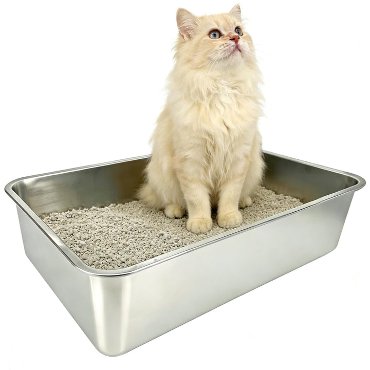 Edelstahl Katzenklo Offen, 60x40x15cm – Katzentoilette Edelstahl mit Antihaftbeschichtung, Geruchsfr