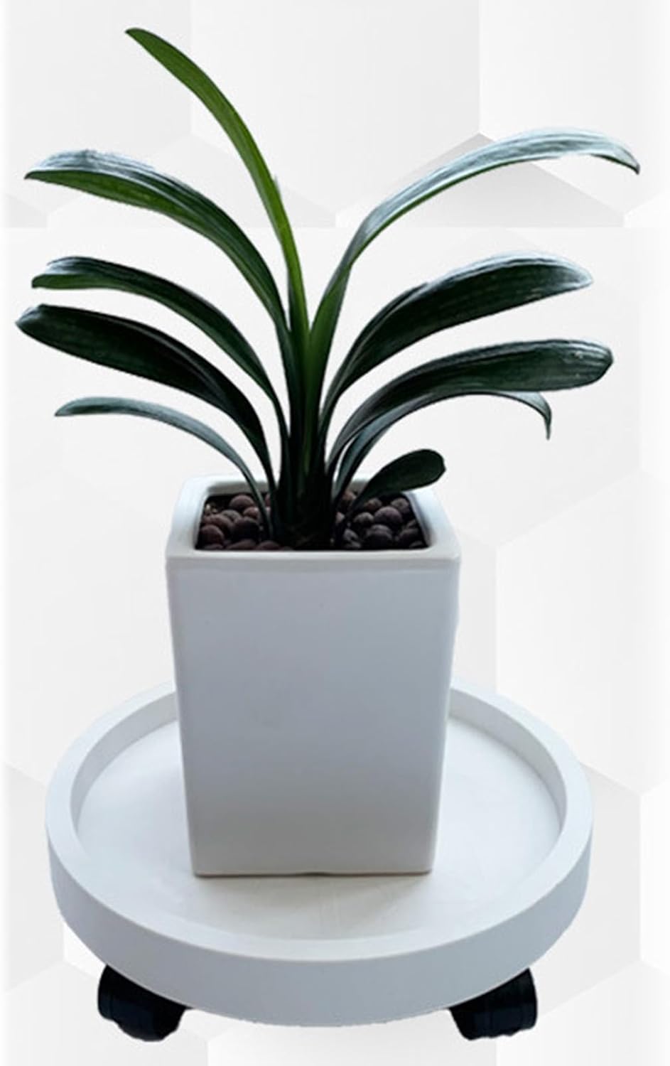 Pflanzen-Caddy, Blumentopfständer mit Drehbaren Rädern, Runder Topfpflanzenständer auf Rädern, Pflan