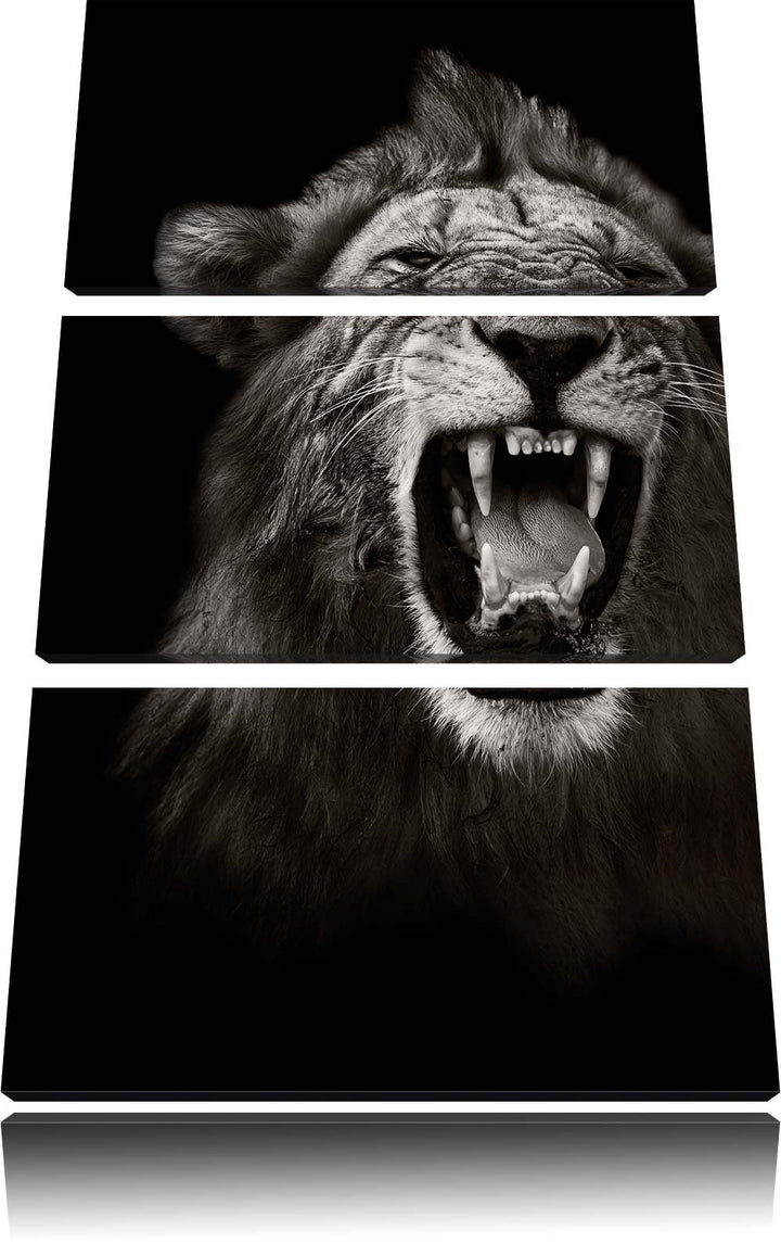 Pixxprint Dark Brüllender Löwe als Leinwandbild - Grösse: 3-Teilig (120x80cm) - Wandbild - Kunstdruc