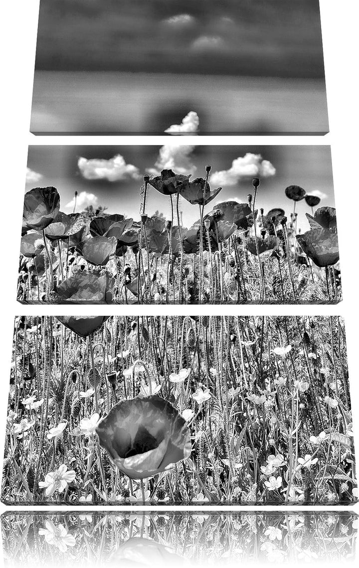 Pixxprint Mohnwiese als Leinwandbild/Grösse: 3 Teilig (120x80) cm/Wandbild/Kunstdruck/fertig bespann