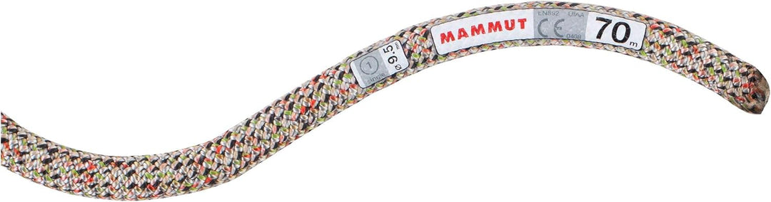 Mammut 9.5 Crag We Care Classic Einfachseil