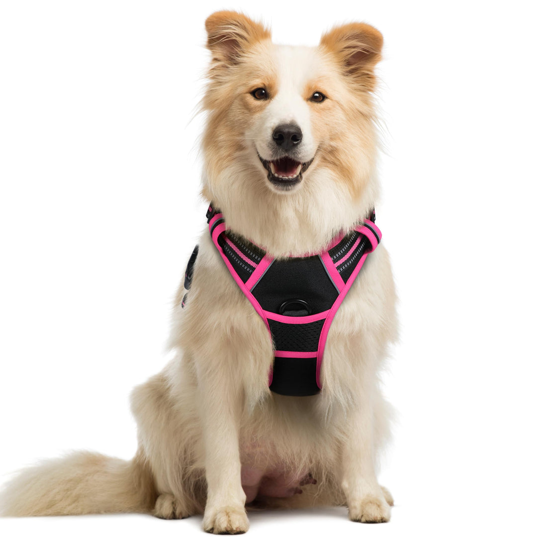 rabbitgoo Hundegeschirr Mittelgrosse Hunde, Anti Zug Geschirr mit Kontrolle, No Pull Verstellbar Hun