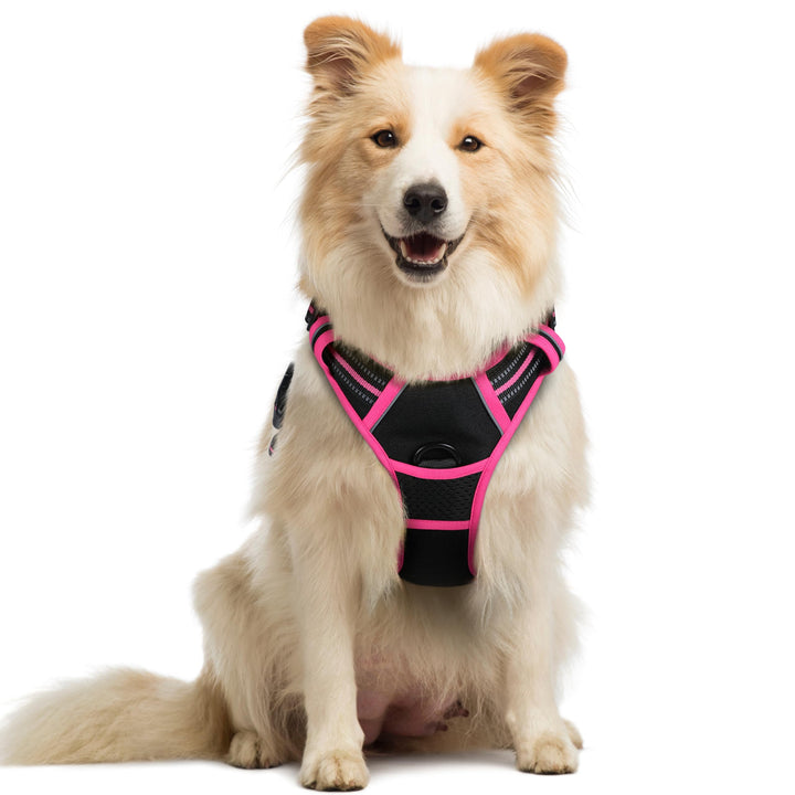 rabbitgoo Hundegeschirr Mittelgrosse Hunde, Anti Zug Geschirr mit Kontrolle, No Pull Verstellbar Hun