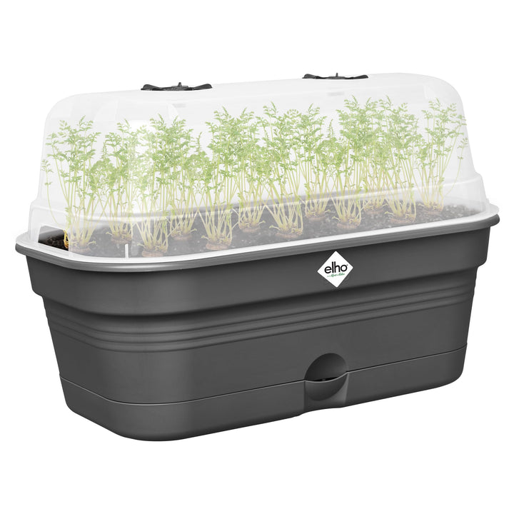 elho Green Basics Anzucht Schale Allin1 32 - Anzuchtset - 100% recyceltes Plastik - Ø 32.0 x H 13.2