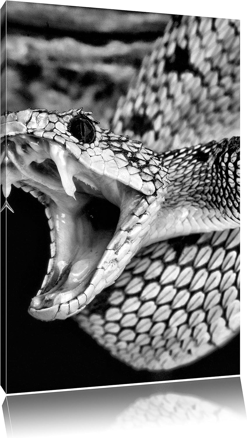 Pixxprint Giftige grüne Schlange als Leinwandbild | Grösse: 100x70 | Wandbild| Kunstdruck | fertig b