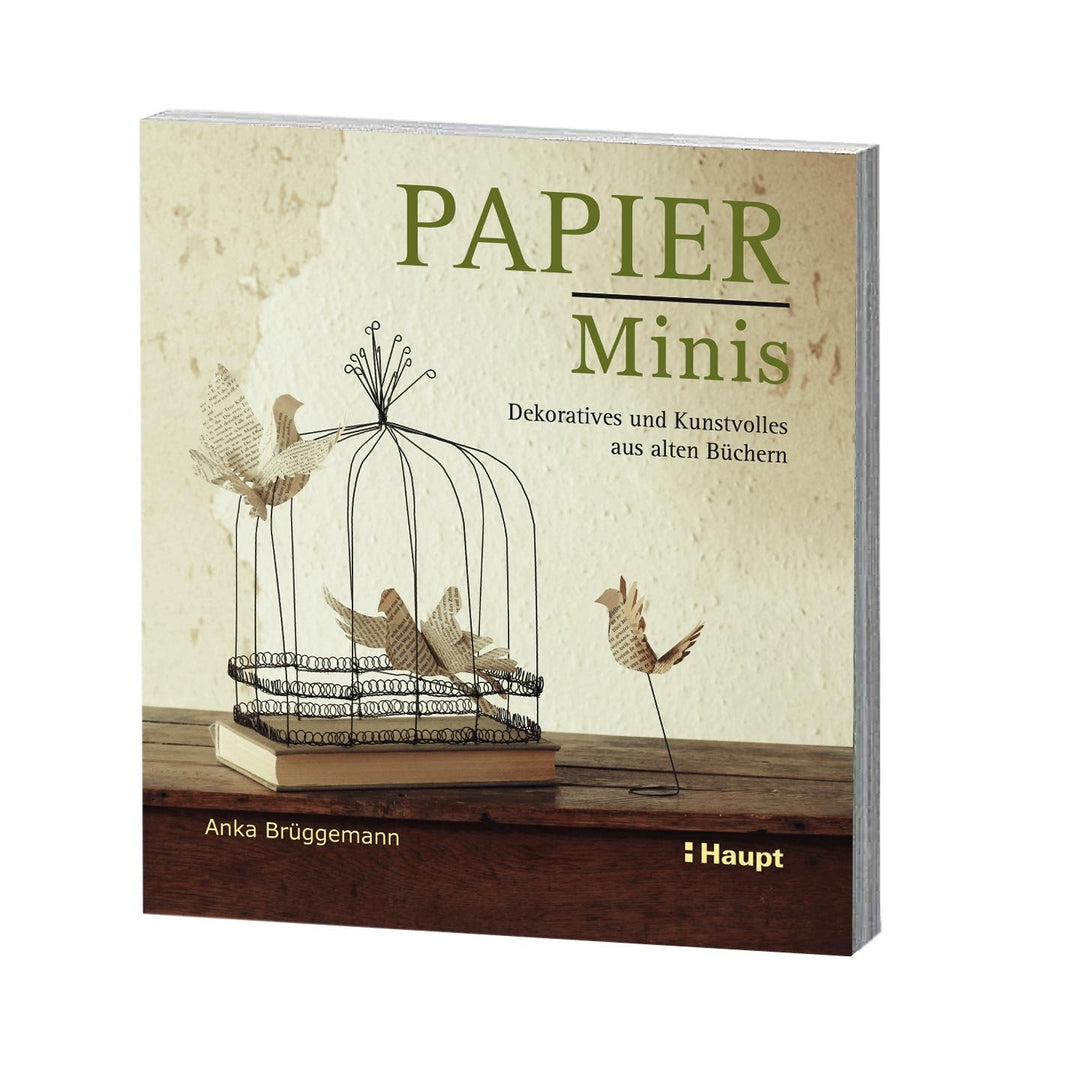 Papier-Minis: Dekoratives und Kunstvolles aus alten Büchern, Taschenbuch