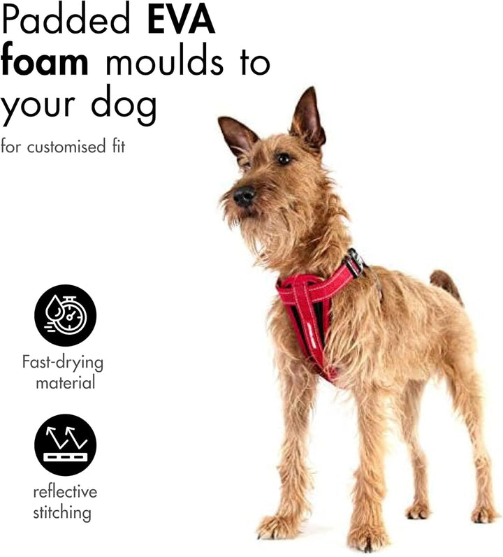 EzyDog Hundegeschirr Auto mit Sicherheitsgurt, Brustgeschirr Hund, Sicherheitsgeschirr Hund, 'Chest
