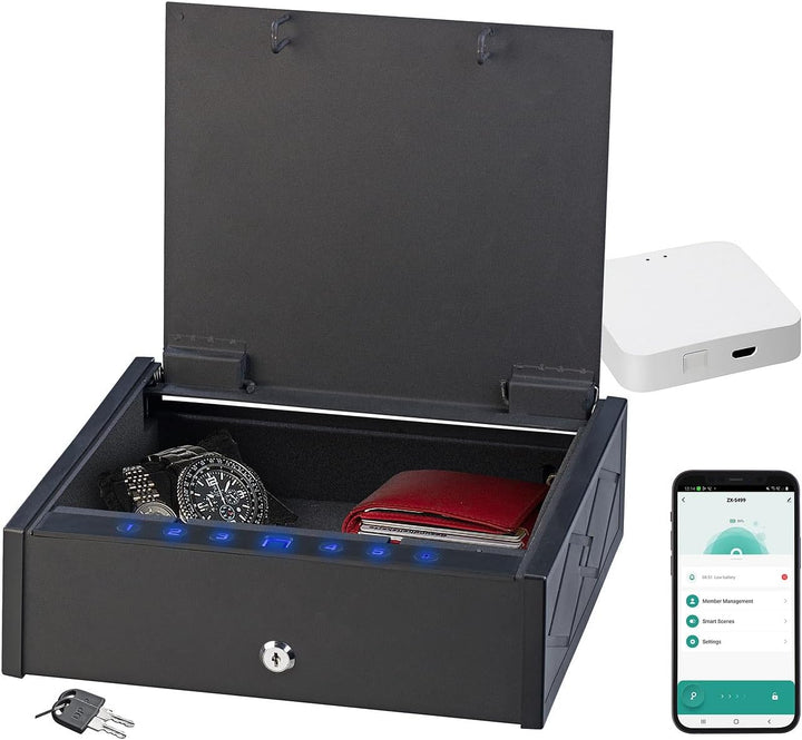 Xcase Mini-Schlüssel-Safe: Tresor mit biometrischer Fingerabdruckerkennung, WLAN-Gateway und App (Mi