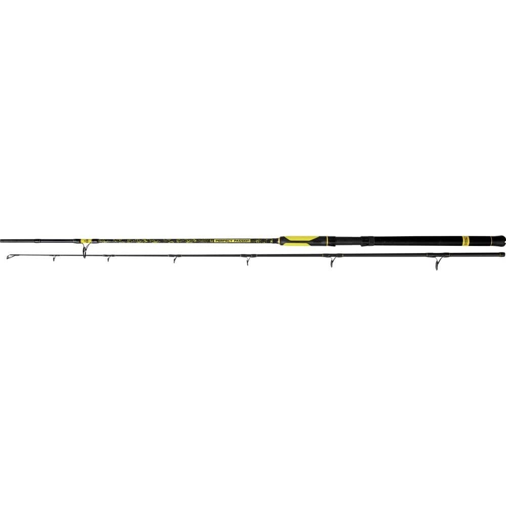 Black Cat Premium Welsrute Perfect Passion Spin Angelrute Spinnrute Wels Angeln Wallerrute Wurfgewic