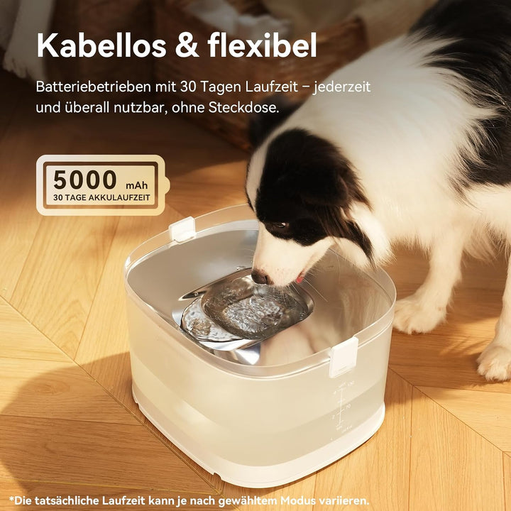 Cheerble D1 Pro Trinkbrunnen für Hunde, kabelloser Wasserspender Hund, pumpenlos mit MagDrive™ Techn