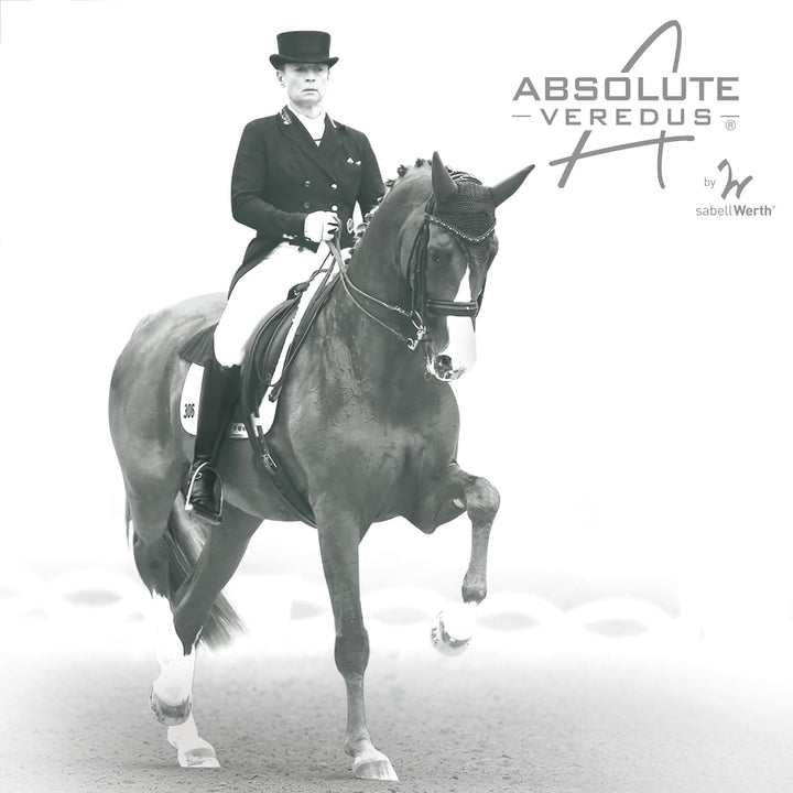 Veredus Absolute Dressage Elastic Front Brushing Boot M / schwarz M, M / schwarz M