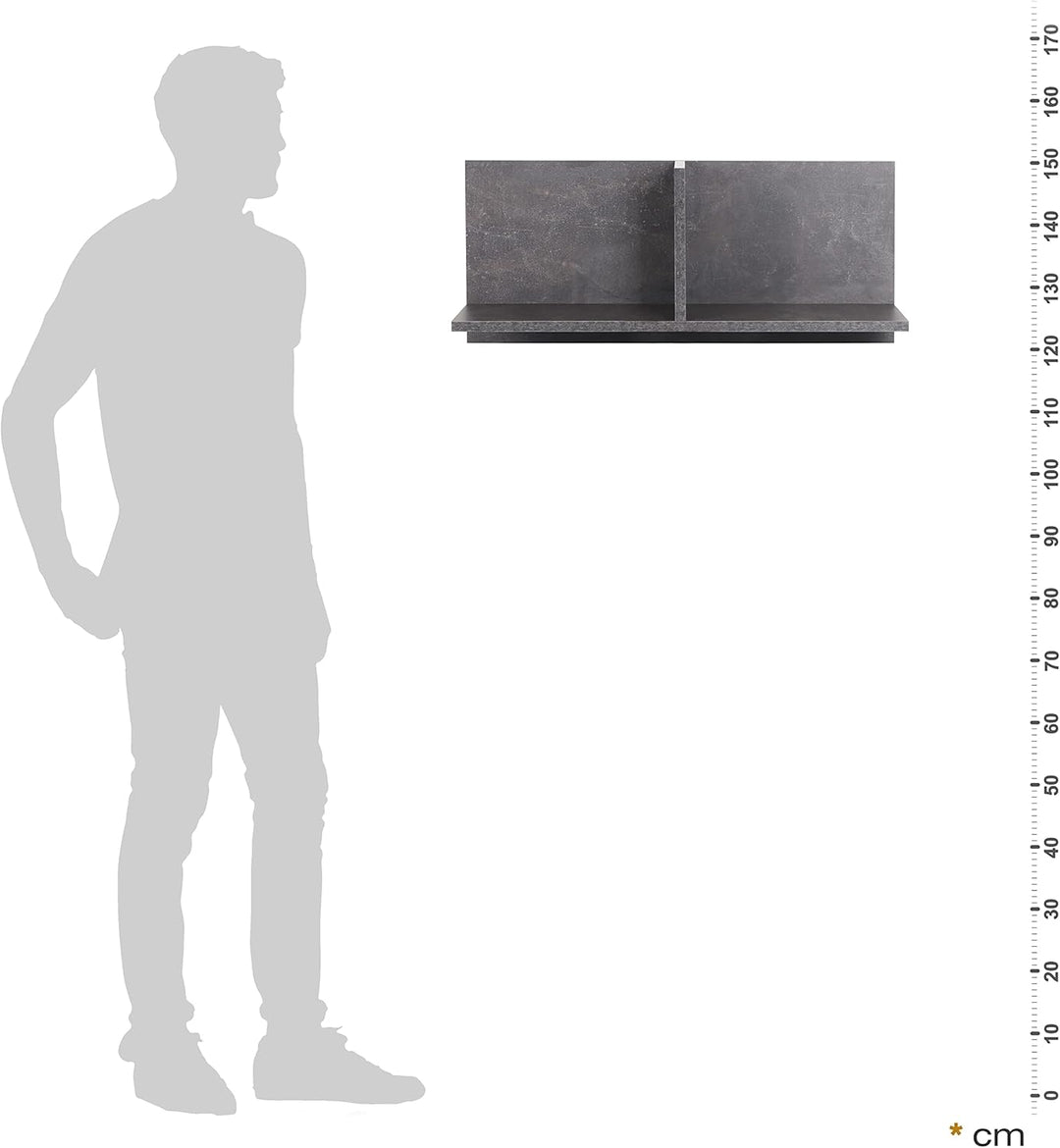 RICOO Wandregal 70 x 30 x 22 Grau Beton Optik, Spanplatte aus Holz, Hängereral WM013-BG, Regal Wand,
