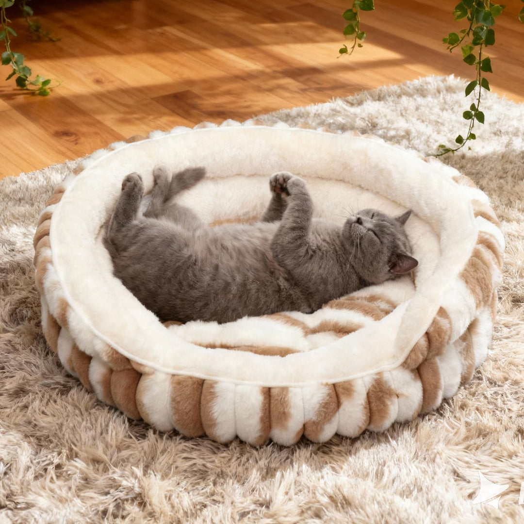 Katzenbetten für Hauskatzen, Kätzchenbett, Donut-waschbar, beruhigend, flauschig, mit Rutschfester U