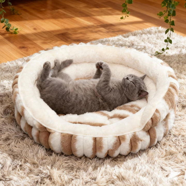 Katzenbetten für Hauskatzen, Kätzchenbett, Donut-waschbar, beruhigend, flauschig, mit Rutschfester U