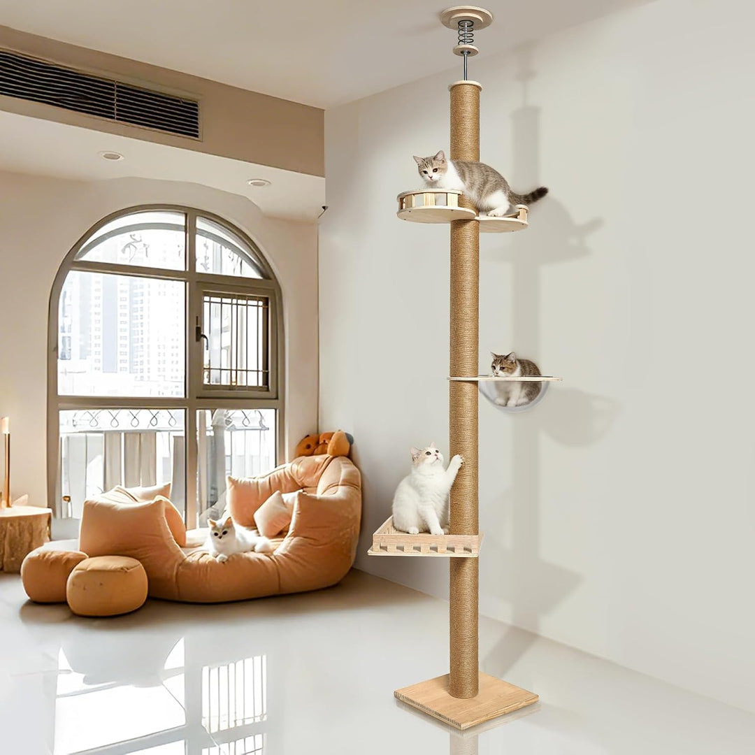 Kratzbaum Deckenhoch 255–265 cm, Verstellbar mit Sisal &amp; Kapsel | 40 x 40 cm Bodenplatte, Kiefernhol