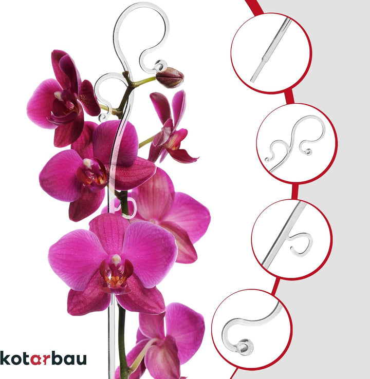 KOTARBAU® 6er Set Pflanzenstütze Transparent PVC 39 cm Blumenstütze Rankhilfe Zimmerpflanzen Blumens
