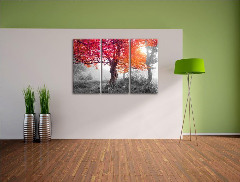Zauberhafte Waldlandschaft schwarz/weiss 3-Teiler Leinwandbild 120x80 Bild auf Leinwand, XXL riesige
