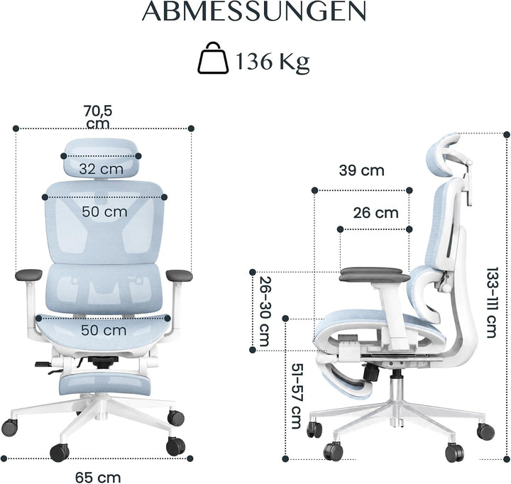FLEXISPOT ErgoX Ergonomischer Bürostuhl mit Fussstütze Blau, Blau