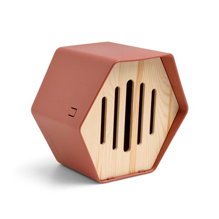 Capi Europe - Schmetterlingshaus Hive - 19x23x20 - Braun - CAPI Biodiversity Hive - AHBUB001 Braun H