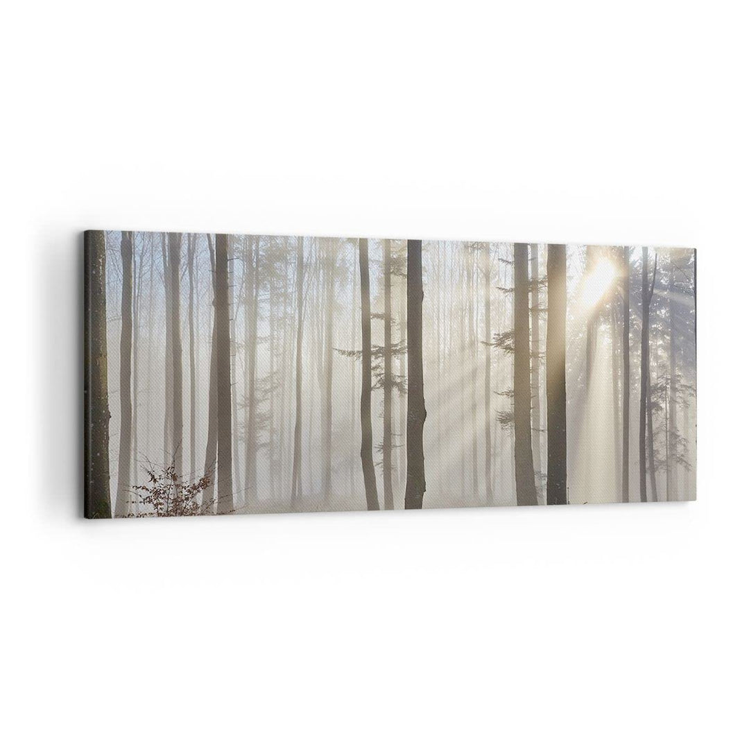 Wandbilder Dekoration Wohnzimmer Wald Baum Natur Panorama Bilder auf Leinwand 120x50cm Leinwandbild
