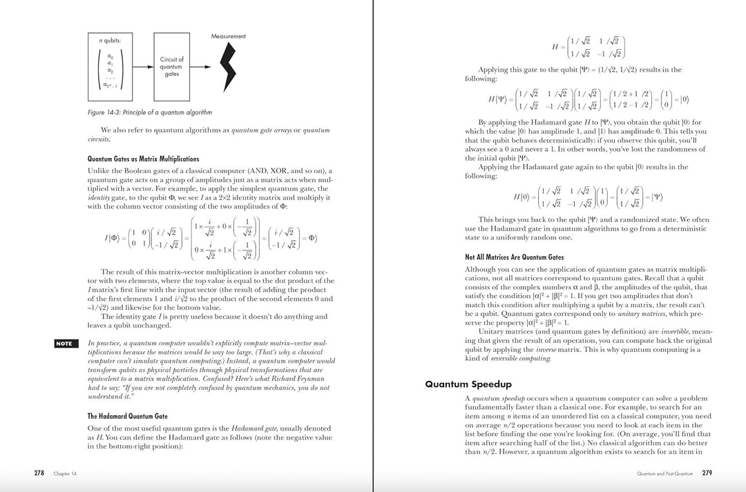 Serious Cryptography, 2nd Edition: A Practical Introduction to Modern Encryption, Taschenbuch