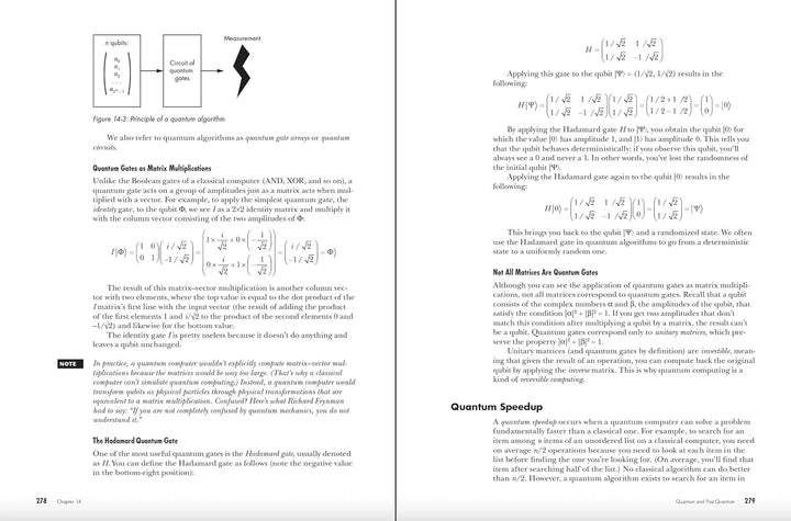 Serious Cryptography, 2nd Edition: A Practical Introduction to Modern Encryption, Taschenbuch