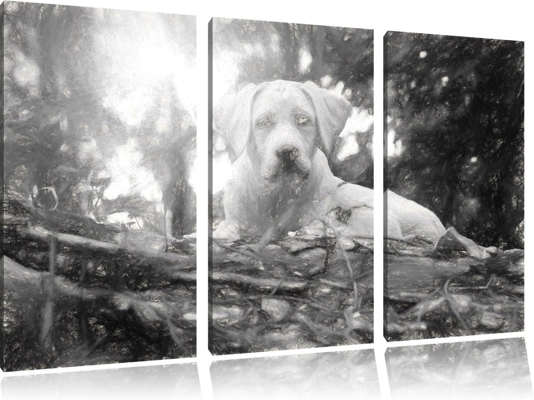 Pixxprint Hund im Wald bei Sonneuntergang / 3-Teilig/Gesamtmass 120cm Leinwandbild bespannt auf Holz