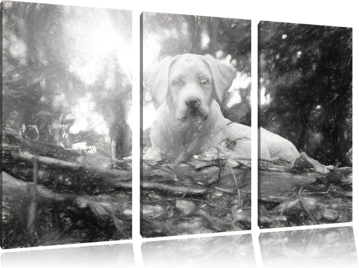 Pixxprint Hund im Wald bei Sonneuntergang / 3-Teilig/Gesamtmass 120cm Leinwandbild bespannt auf Holz