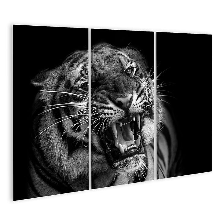 islandburner Bild auf Leinwand Sumatra Tiger Raubkatze Bilder Wandbilder Poster Leinwand 130x80cm -