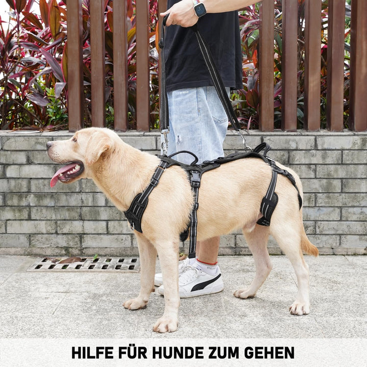 COODEO Hundefördergurt, Tragsack & Gehhilfe für Hunde, Hinterbein-Rehabilitationsweste, Transportgur