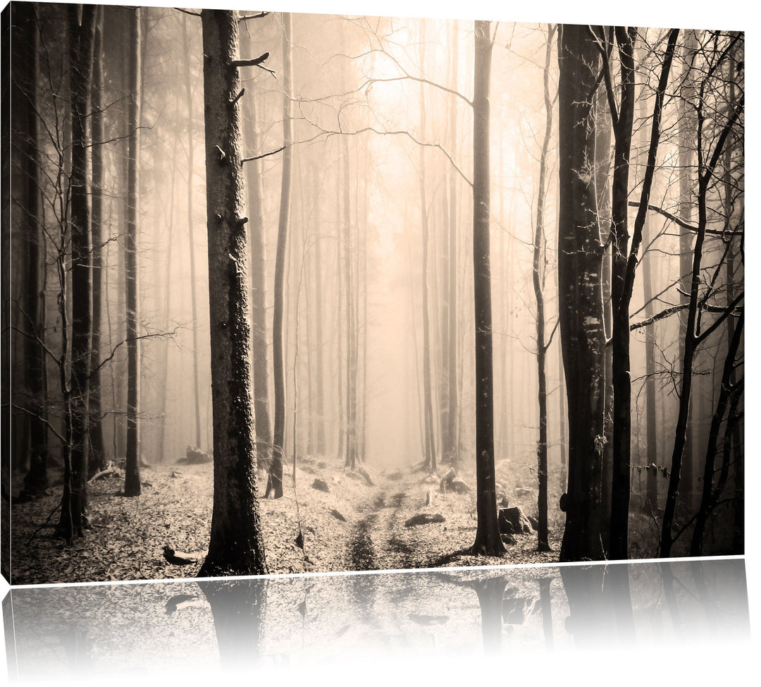 Pixxprint Mystischer Wald Schwarz/Weiss, Format: 100x70 auf Leinwand, 100x70