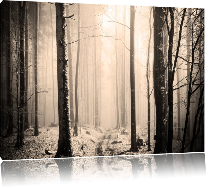 Pixxprint Mystischer Wald Schwarz/Weiss, Format: 100x70 auf Leinwand, 100x70