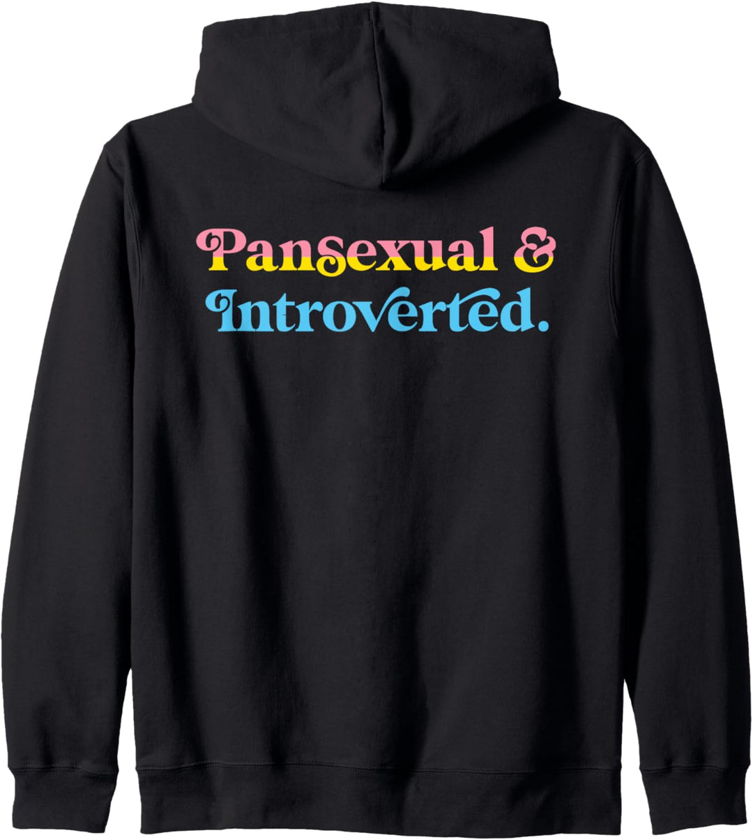 Pansexual And Introverted Funny Aesthetic LGBTQIA Pride Flag Kapuzenjacke