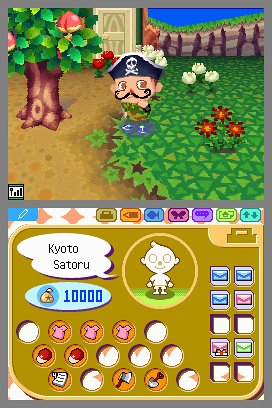 Nintendo Animal Crossing - Wild World