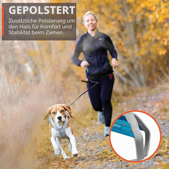Non-stop dogwear FREEMOTION Harness 5.0 |111| Hundegeschirr für alle Sportarten, Grösse:5, 5