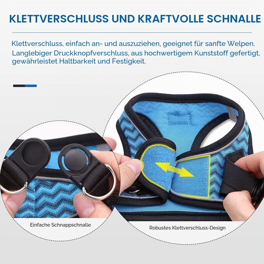 Suredoo Hundegeschirr mit Leine, Anti Zug Geschirr Reflektierend Brustgeschirr für Kleine Hunde, Hau