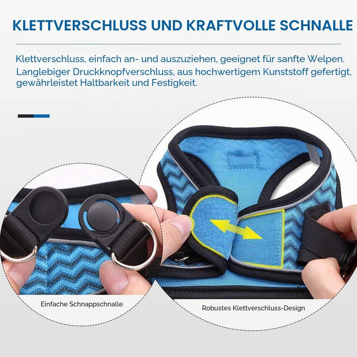 Suredoo Hundegeschirr mit Leine, Anti Zug Geschirr Reflektierend Brustgeschirr für Kleine Hunde, Hau